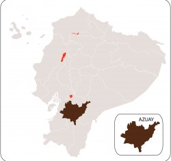 Azuay