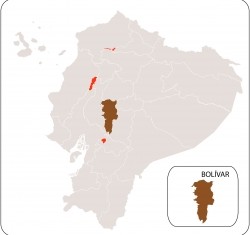 Bolivar