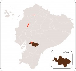 Cañar