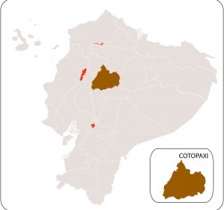 Cotopaxi