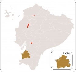El oro