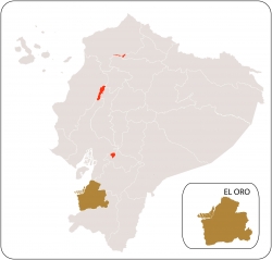 El oro