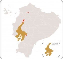 Guayas