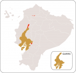 Guayas