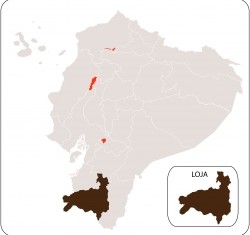 Loja