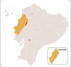 Manabi