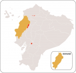 Manabi