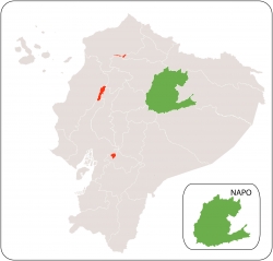 Napo