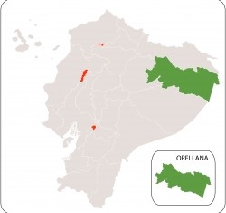 Orellana