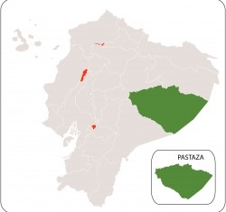 Pastaza