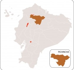 Pichincha