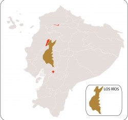 Rios