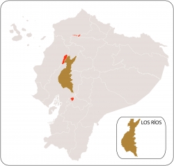 Rios