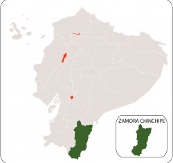 ZChinchipe